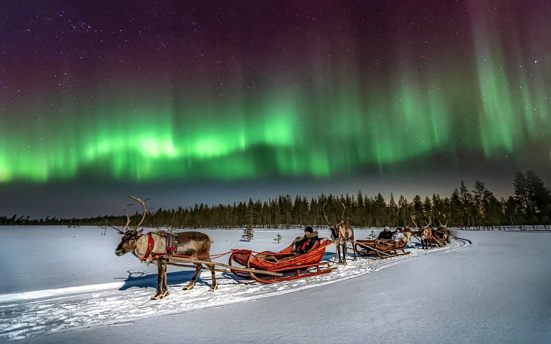 the Northern Lights – Reindeer Sleigh Ride Under the Arctic Sky