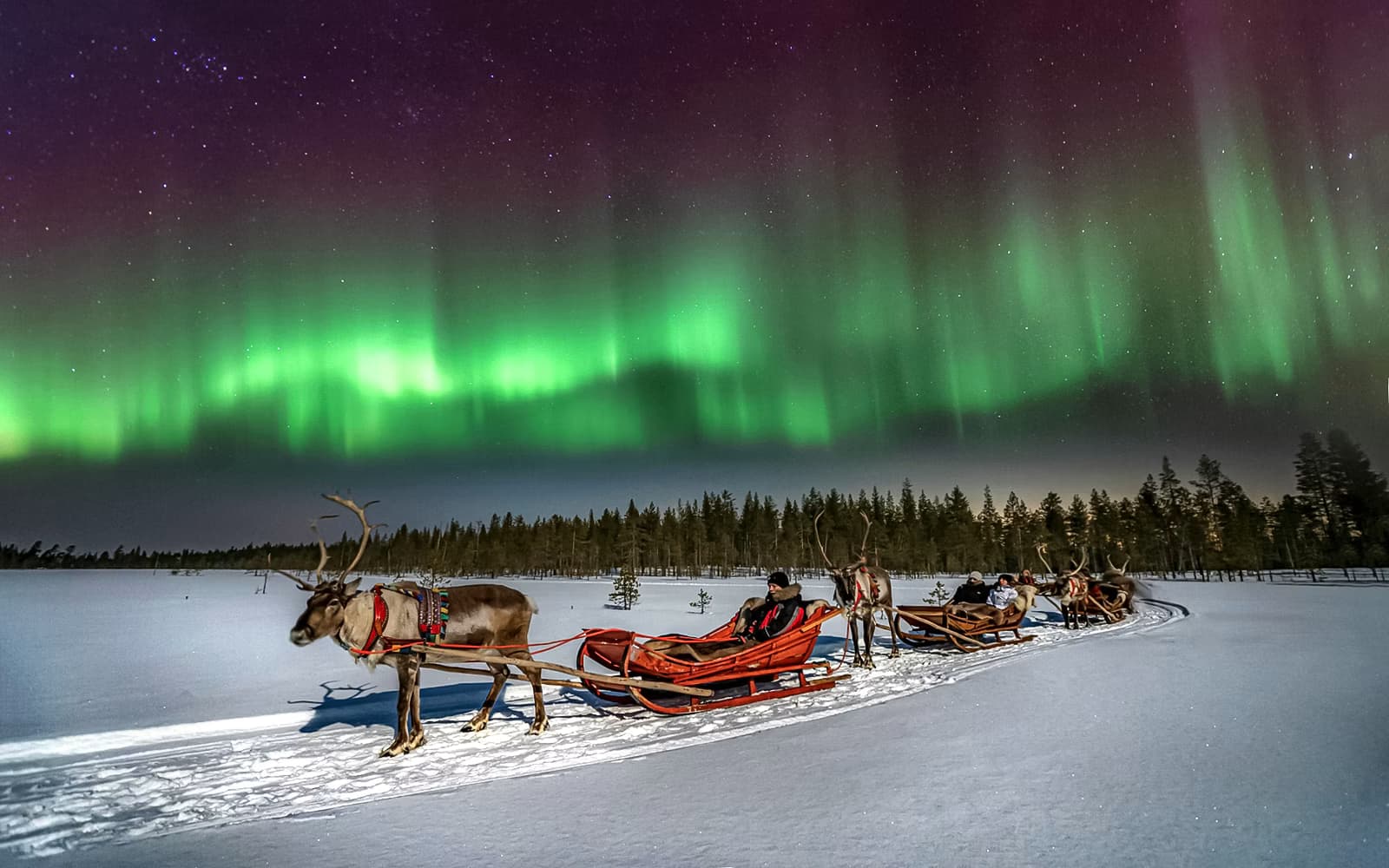 the Northern Lights – Reindeer Sleigh Ride Under the Arctic Sky