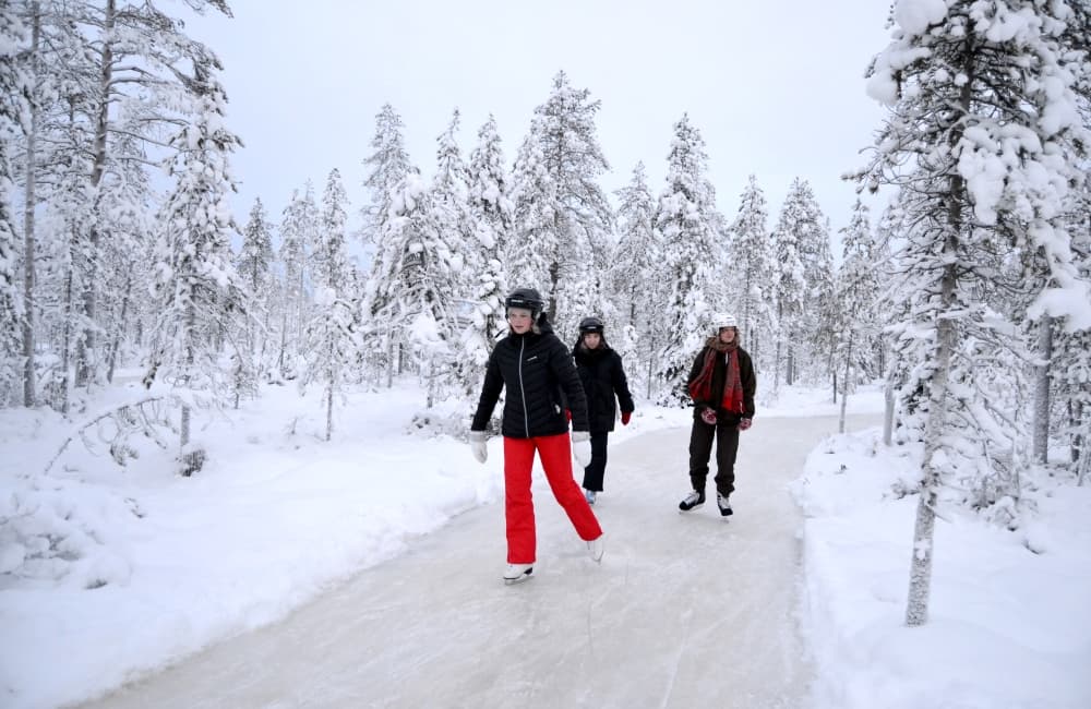 Skating Through a Winter Wonderland