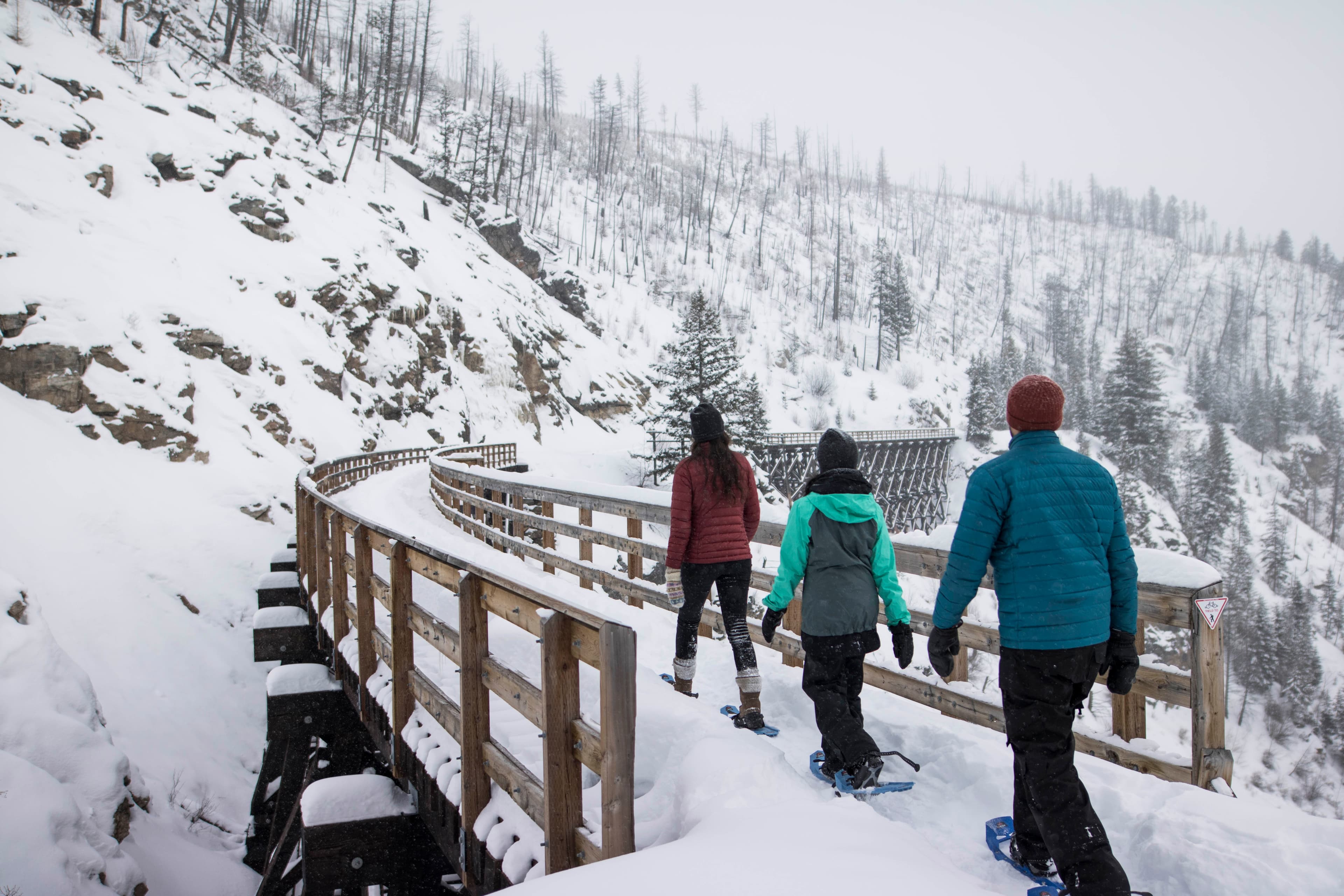 Hiking and Snowshoeing Adventure