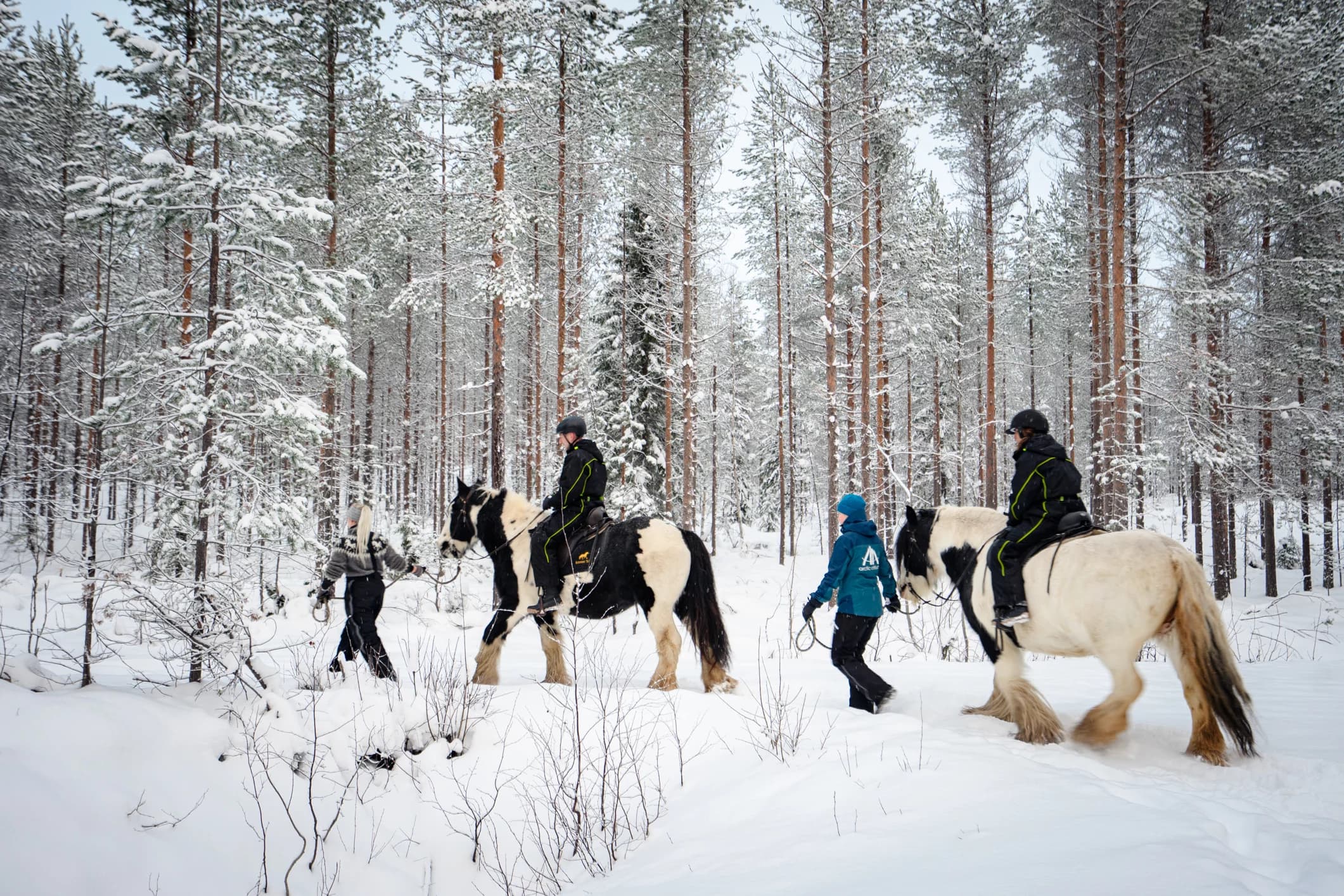 Riding Tour with Finnhorses